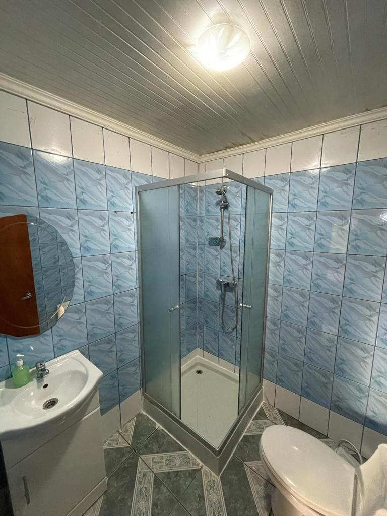 Cabanas Los Olmos San José de Maipo エクステリア 写真